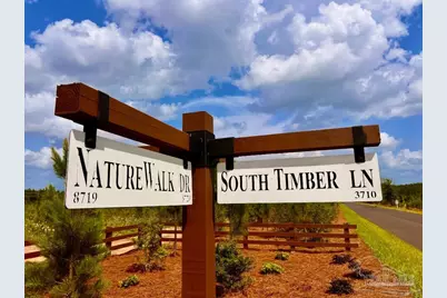 Lot 49 South Timber Ln, Jay, FL 32565 - Photo 29