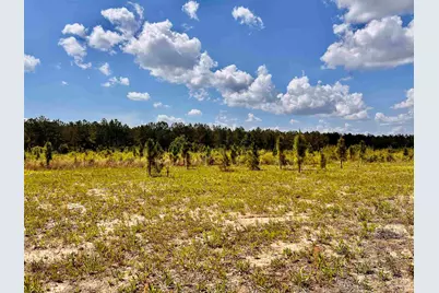 Lot 49 South Timber Ln, Jay, FL 32565 - Photo 15
