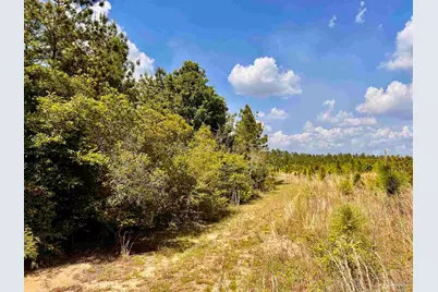 Lot 49 South Timber Ln, Jay, FL 32565 - Photo 27
