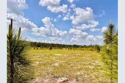 Lot 49 South Timber Ln, Jay, FL 32565 - Photo 3