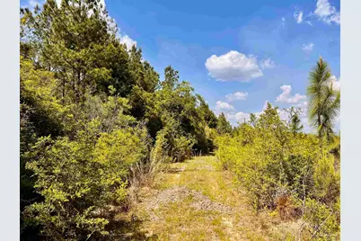 Lot 49 South Timber Ln, Jay, FL 32565 - Photo 25
