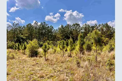 Lot 49 South Timber Ln, Jay, FL 32565 - Photo 19