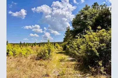 Lot 49 South Timber Ln, Jay, FL 32565 - Photo 23