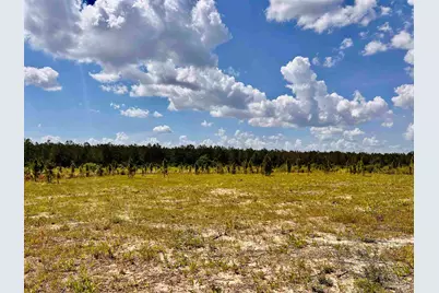 Lot 49 South Timber Ln, Jay, FL 32565 - Photo 11