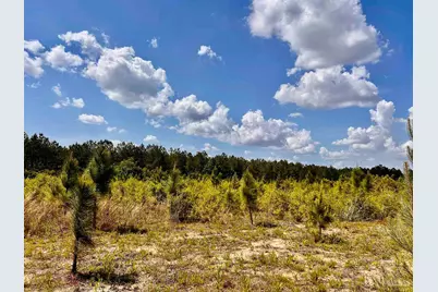 Lot 49 South Timber Ln, Jay, FL 32565 - Photo 17