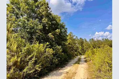 Lot 51 South Timber Ln, Jay, FL 32565 - Photo 29