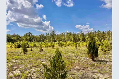 Lot 51 South Timber Ln, Jay, FL 32565 - Photo 3