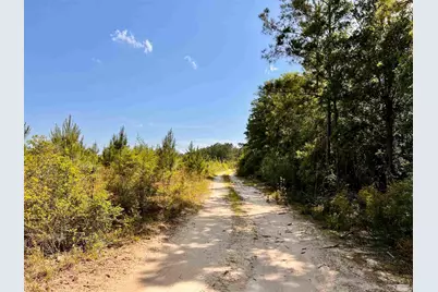 Lot 51 South Timber Ln, Jay, FL 32565 - Photo 25