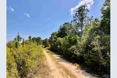 Lot 51 South Timber Ln, Jay, FL 32565 - Photo 27