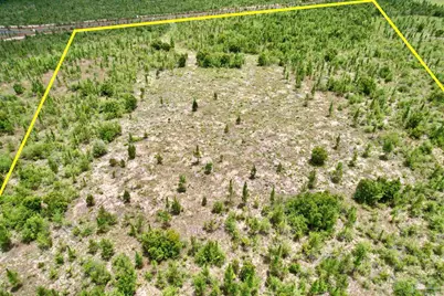 Lot 51 South Timber Ln, Jay, FL 32565 - Photo 7