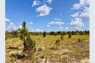 Lot 51 South Timber Ln, Jay, FL 32565 - Photo 23