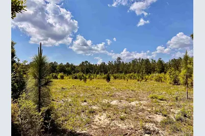 Lot 51 South Timber Ln, Jay, FL 32565 - Photo 13