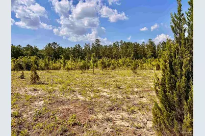 Lot 51 South Timber Ln, Jay, FL 32565 - Photo 21