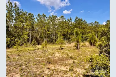 Lot 53 South Timber Ln, Jay, FL 32565 - Photo 13