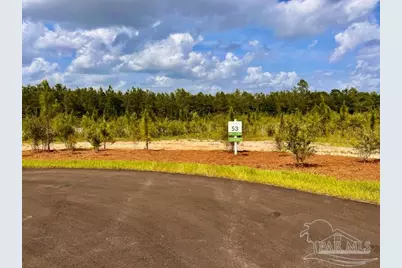 Lot 53 South Timber Ln, Jay, FL 32565 - Photo 9