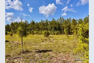 Lot 53 South Timber Ln, Jay, FL 32565 - Photo 11