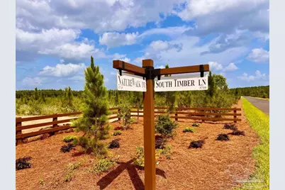 Lot 53 South Timber Ln, Jay, FL 32565 - Photo 7