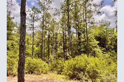 Lot 95 Turning Leaf Rd, Jay, FL 32565 - Photo 25