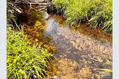 Lot 95 Turning Leaf Rd, Jay, FL 32565 - Photo 21