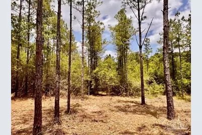 Lot 95 Turning Leaf Rd, Jay, FL 32565 - Photo 23