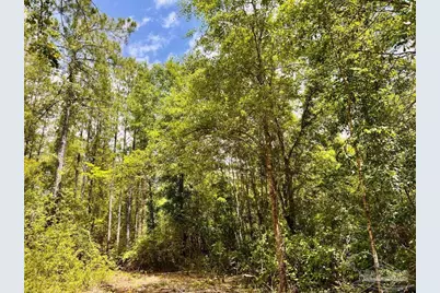 Lot 95 Turning Leaf Rd, Jay, FL 32565 - Photo 15