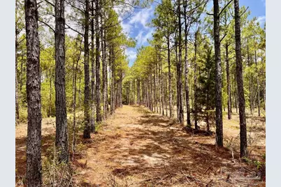 Lot 95 Turning Leaf Rd, Jay, FL 32565 - Photo 11