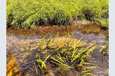 Lot 95 Turning Leaf Rd, Jay, FL 32565 - Photo 1