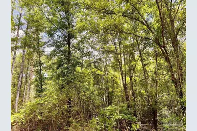 Lot 95 Turning Leaf Rd, Jay, FL 32565 - Photo 17