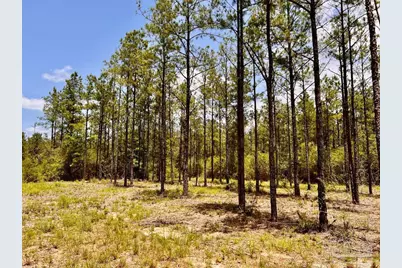 Lot 96 Turning Leaf Rd, Jay, FL 32565 - Photo 25