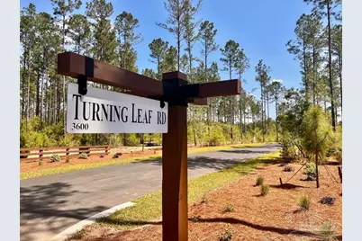 Lot 96 Turning Leaf Rd, Jay, FL 32565 - Photo 3