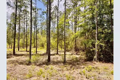 Lot 96 Turning Leaf Rd, Jay, FL 32565 - Photo 21