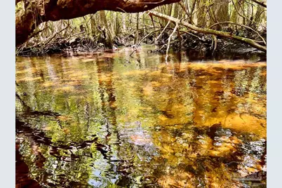 Lot 96 Turning Leaf Rd, Jay, FL 32565 - Photo 1