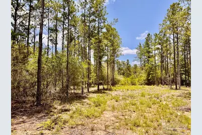 Lot 96 Turning Leaf Rd, Jay, FL 32565 - Photo 23