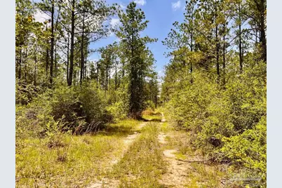 Lot 96 Turning Leaf Rd, Jay, FL 32565 - Photo 15