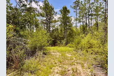 Lot 96 Turning Leaf Rd, Jay, FL 32565 - Photo 27