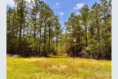 Lot 96 Turning Leaf Rd, Jay, FL 32565 - Photo 13