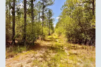 Lot 96 Turning Leaf Rd, Jay, FL 32565 - Photo 11