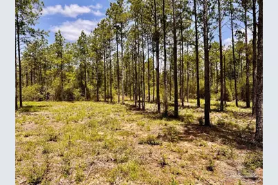 Lot 97 Turning Leaf Rd, Jay, FL 32565 - Photo 3