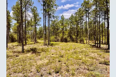 Lot 97 Turning Leaf Rd, Jay, FL 32565 - Photo 11