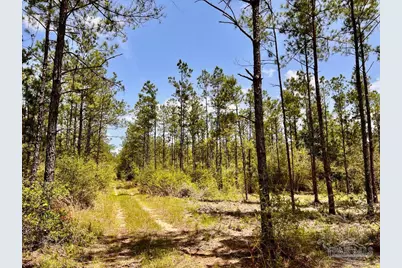 Lot 97 Turning Leaf Rd, Jay, FL 32565 - Photo 13