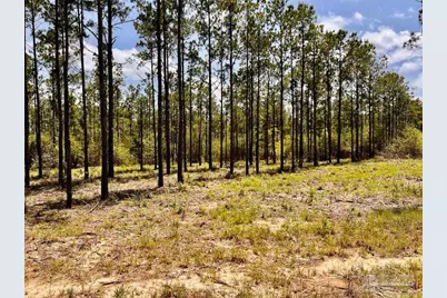 Lot 97 Turning Leaf Rd, Jay, FL 32565 - Photo 15