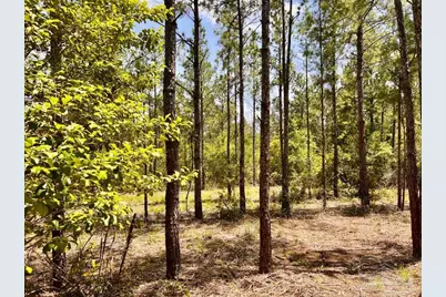 Lot 98 Turning Leaf Rd, Jay, FL 32565 - Photo 17