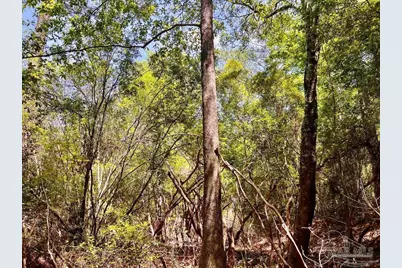 Lot 98 Turning Leaf Rd, Jay, FL 32565 - Photo 23