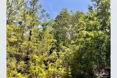 Lot 98 Turning Leaf Rd, Jay, FL 32565 - Photo 27