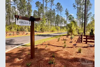 Lot 98 Turning Leaf Rd, Jay, FL 32565 - Photo 1