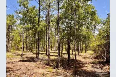 Lot 98 Turning Leaf Rd, Jay, FL 32565 - Photo 15