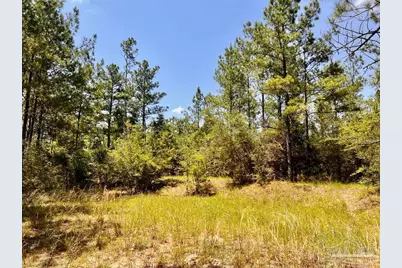 Lot 98 Turning Leaf Rd, Jay, FL 32565 - Photo 21