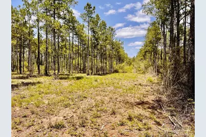 Lot 98 Turning Leaf Rd, Jay, FL 32565 - Photo 11