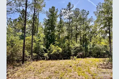 Lot 98 Turning Leaf Rd, Jay, FL 32565 - Photo 19