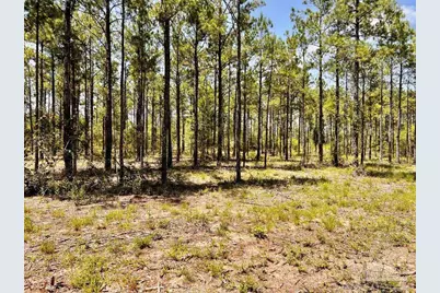 Lot 98 Turning Leaf Rd, Jay, FL 32565 - Photo 13